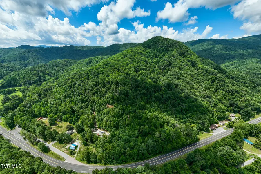 104 Crabtree Road, Roan Mountain, TN 37687 - #2