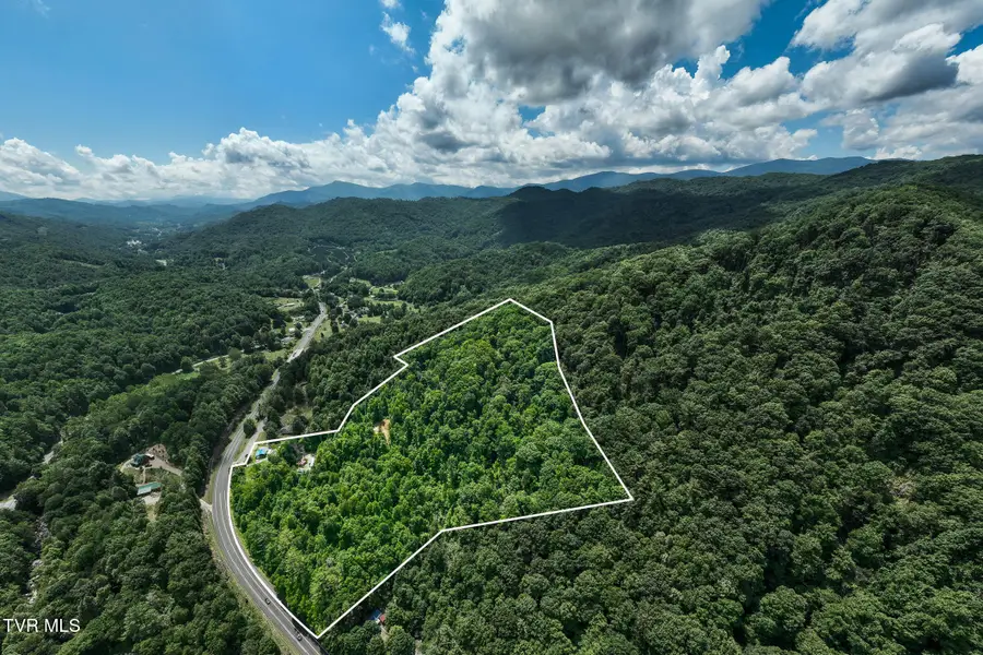 104 Crabtree Road, Roan Mountain, TN 37687 - #3