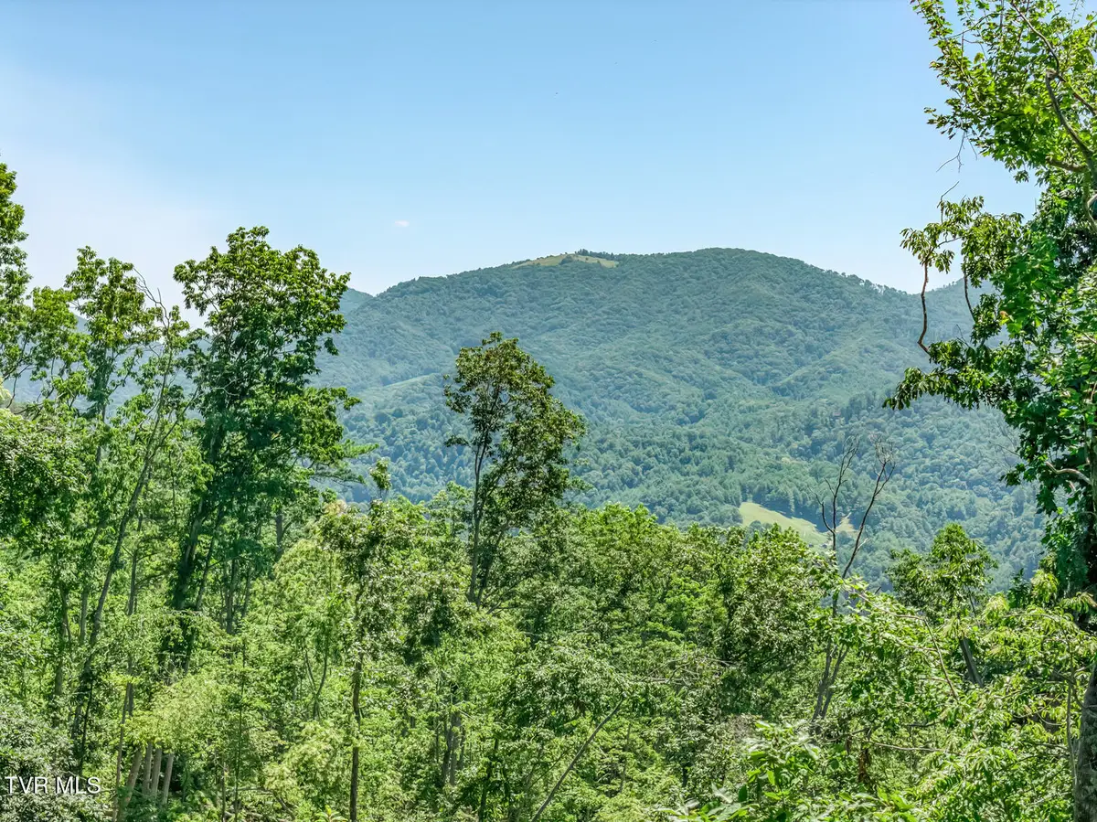 00 Iroquois Road, Mountain City, TN 37683 - #1