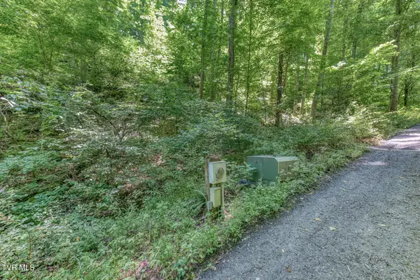 00 Banjo Ridge, Butler, TN 37640
