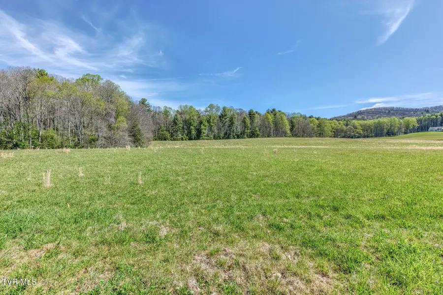 00 Sluder Road, Shady Valley, TN 37688 - #2
