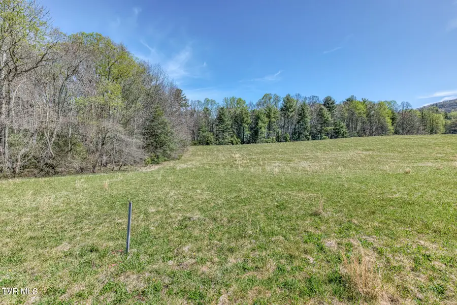 00 Sluder Road, Shady Valley, TN 37688 - #3
