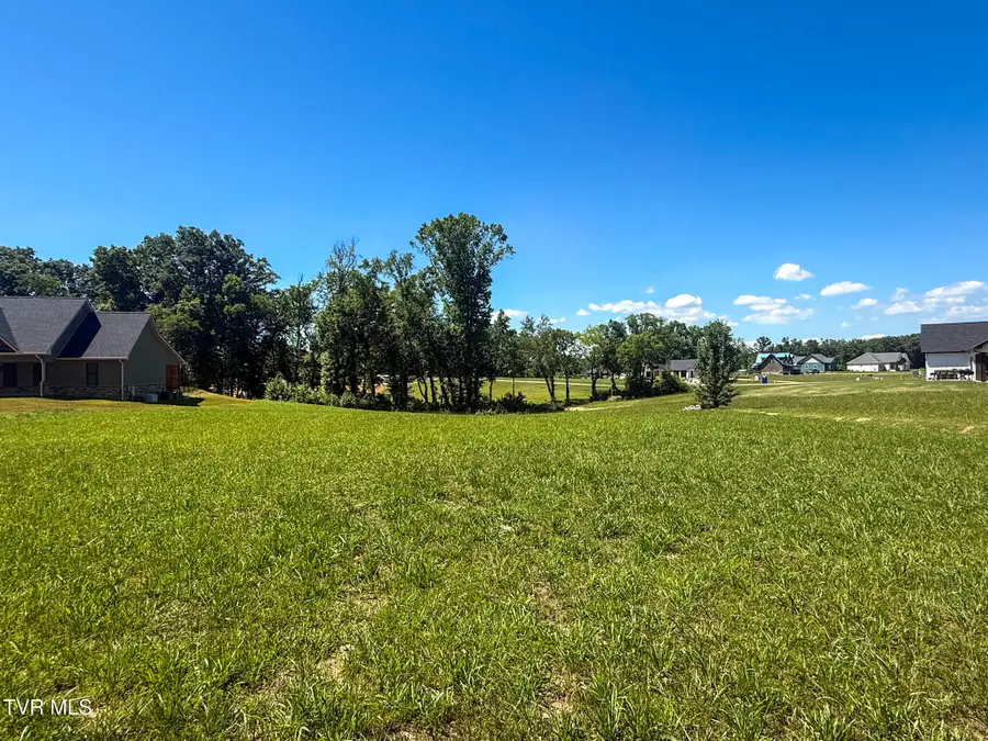 Lot 50 Sunset Boulevard, White Pine, TN 37890 - #3