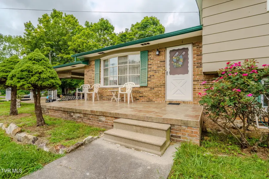 114 Sycamore Drive, Rogersville, TN 37857 - #3