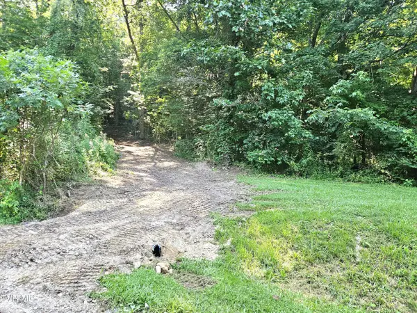 96 Golf Course Road, Rogersville, TN 37857