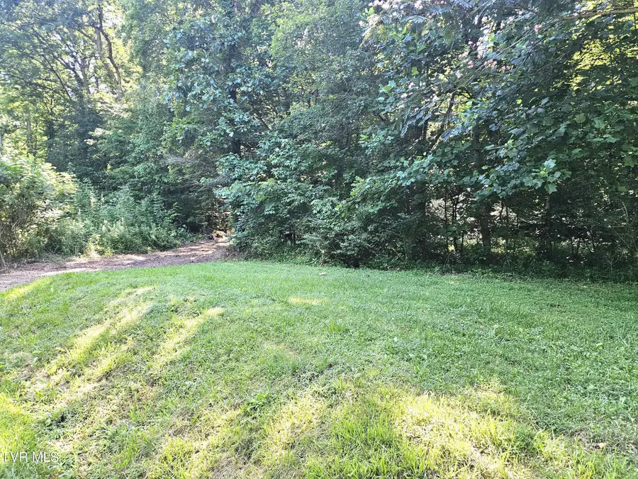 96 Golf Course Road, Rogersville, TN 37857 - #2