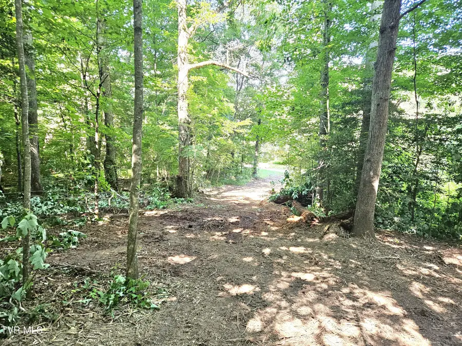 96 Golf Course Road, Rogersville, TN 37857 - #3