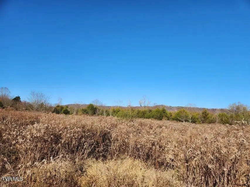 5.14 Ac North Wells Hill Lane, Bulls Gap, TN 37711 - #2