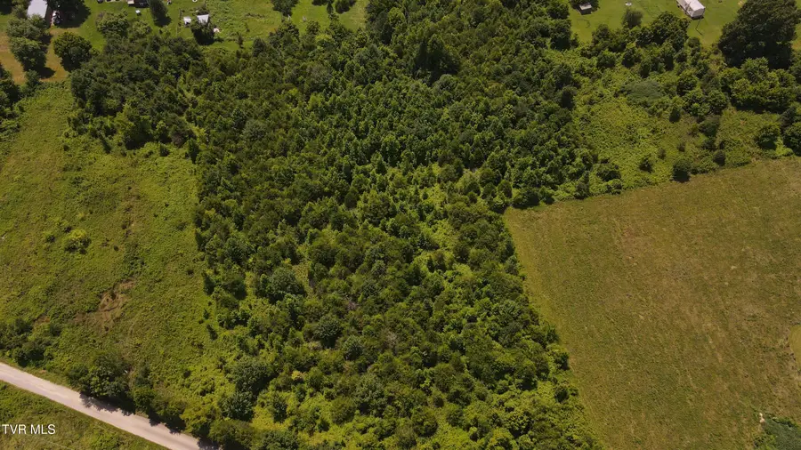 5.14 Ac North Wells Hill Lane, Bulls Gap, TN 37711 - #3