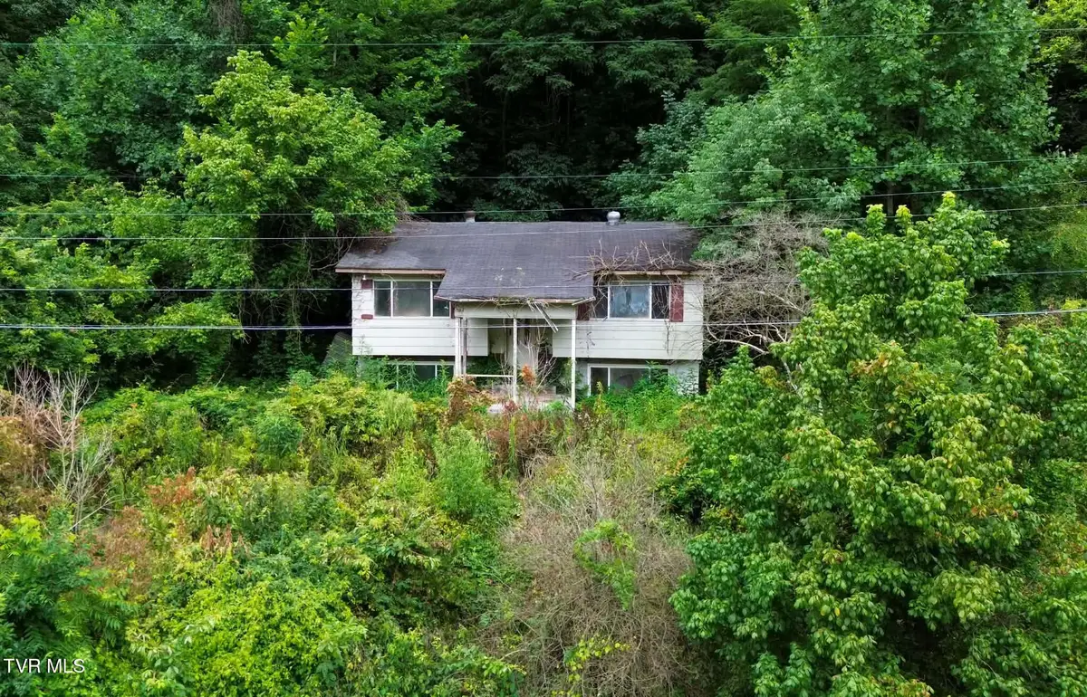 30242 North Fork River Road, Saltville, VA 24370 - #1