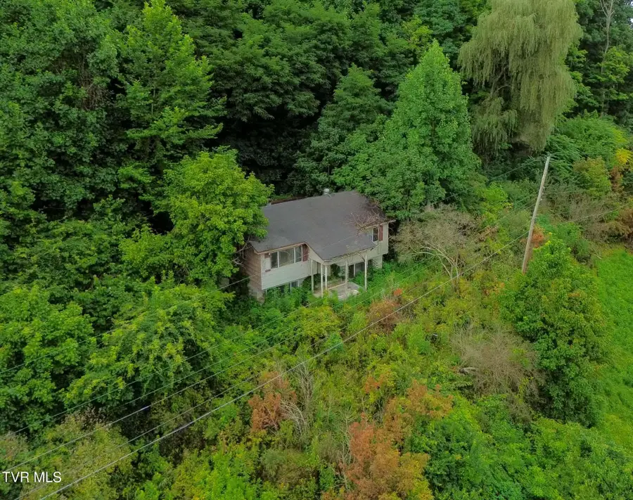 30242 North Fork River Road, Saltville, VA 24370 - #3