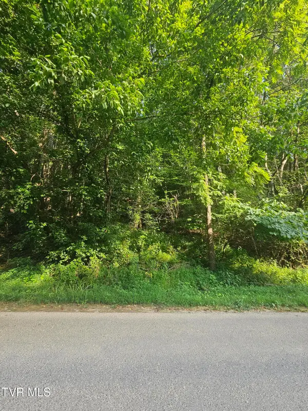 00 Crusenberry Road, Saltville, VA 24370