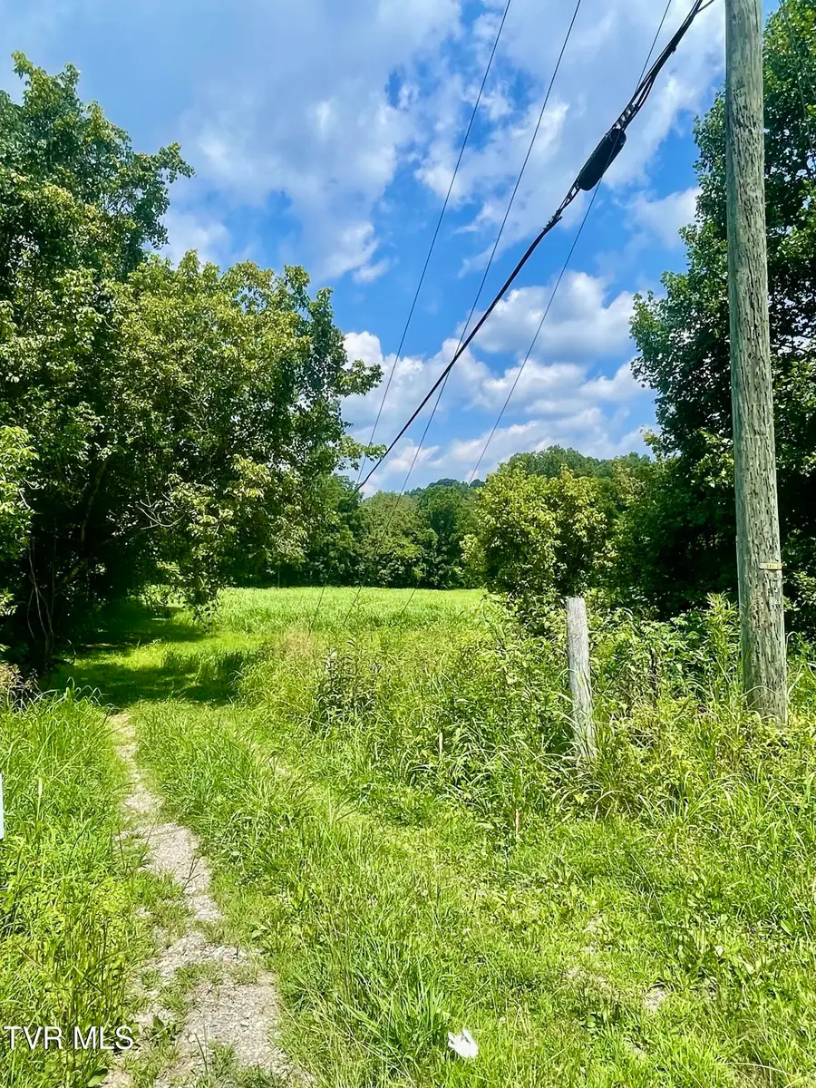Tbd Clinch River Highway, Gate City, VA 24251 - #3