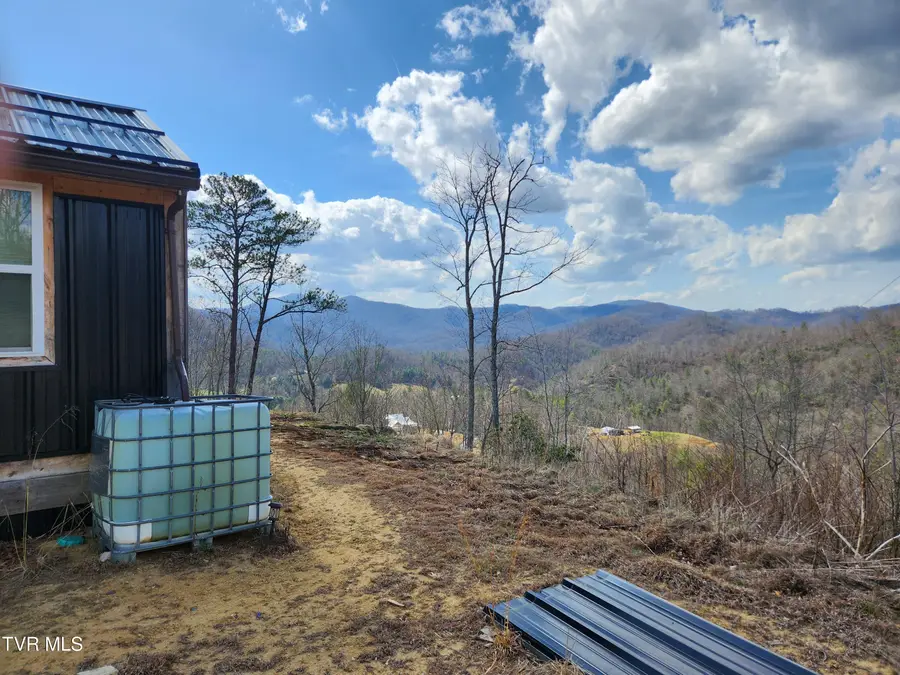 174 Teaberry Road, Roan Mountain, TN 37687 - #3