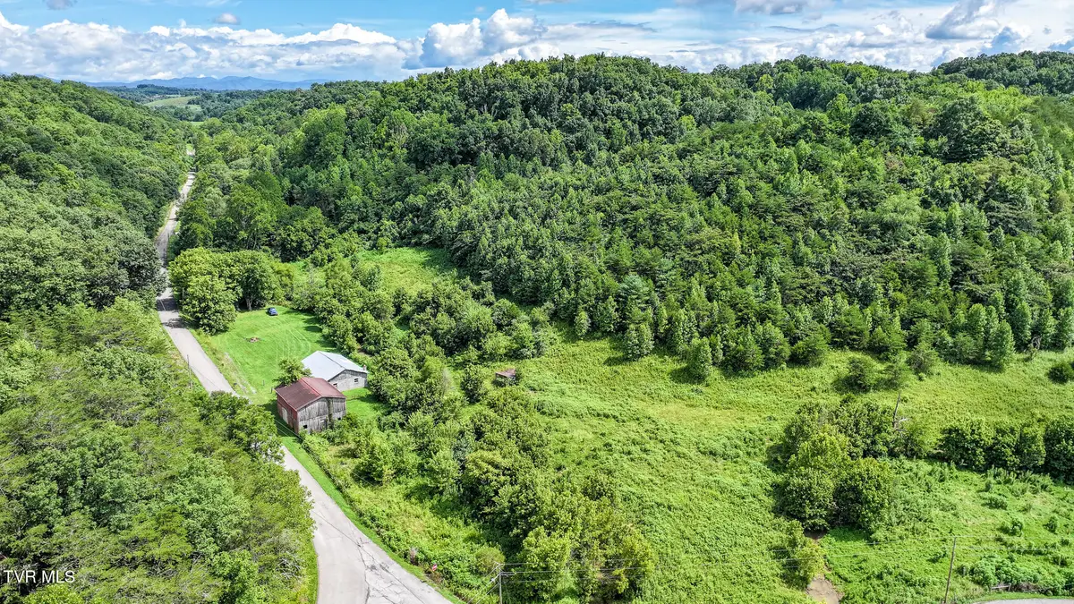 2740 Dulaney Road, Mosheim, TN 37818 - #1