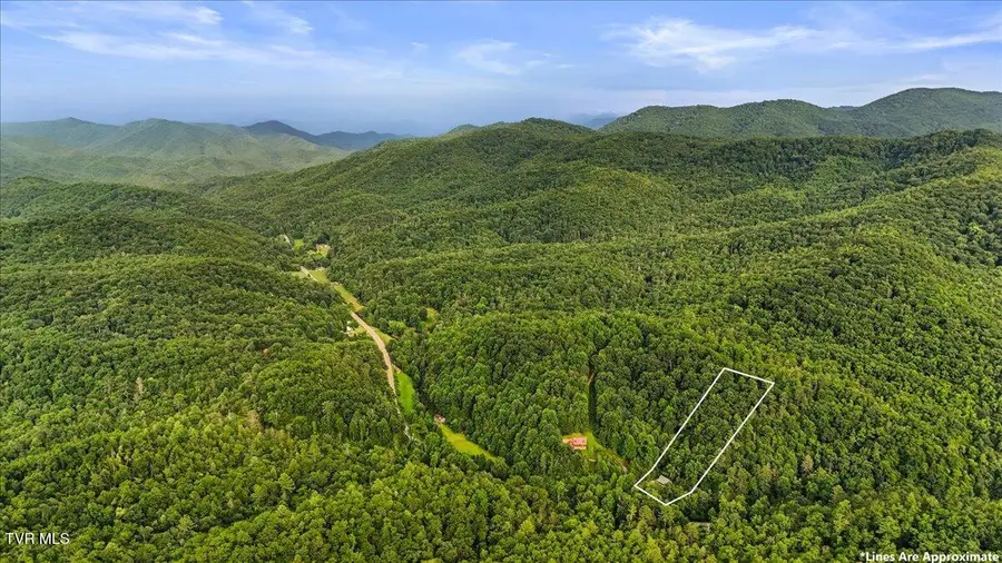13660 Asheville Highway, Greeneville, TN 37743 - #3