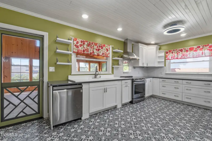 703 Franklin Street, Greeneville, TN 37745 - #3