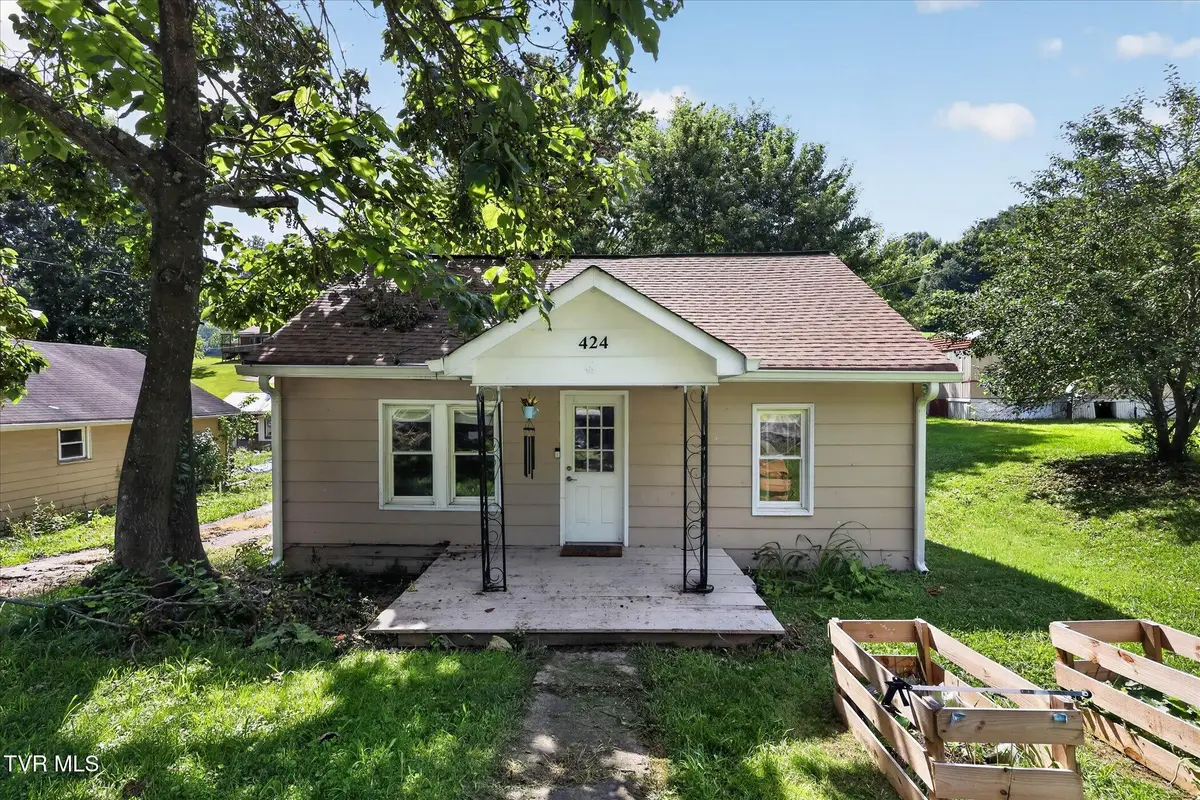 424 Lucy Road, Kingsport, TN 37660 - #1