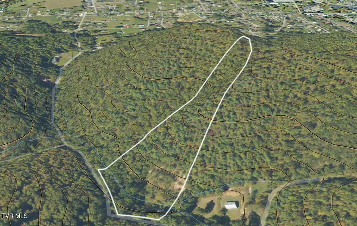 Tbd Bailey Hollow Road, Erwin, TN 37650 - #1