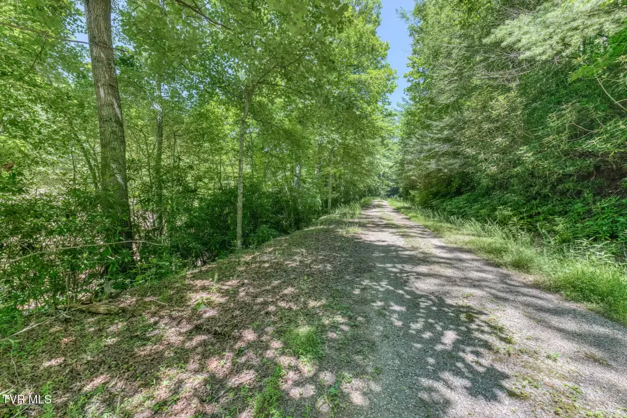 Tbd Bailey Hollow Road, Erwin, TN 37650 - #3