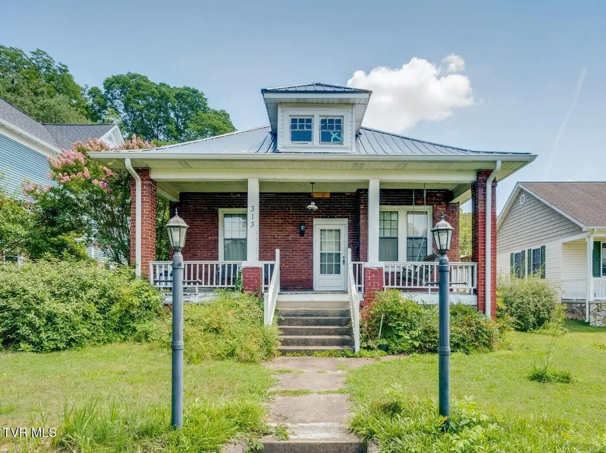 313 West Pine Street, Johnson City, TN 37604 - #1