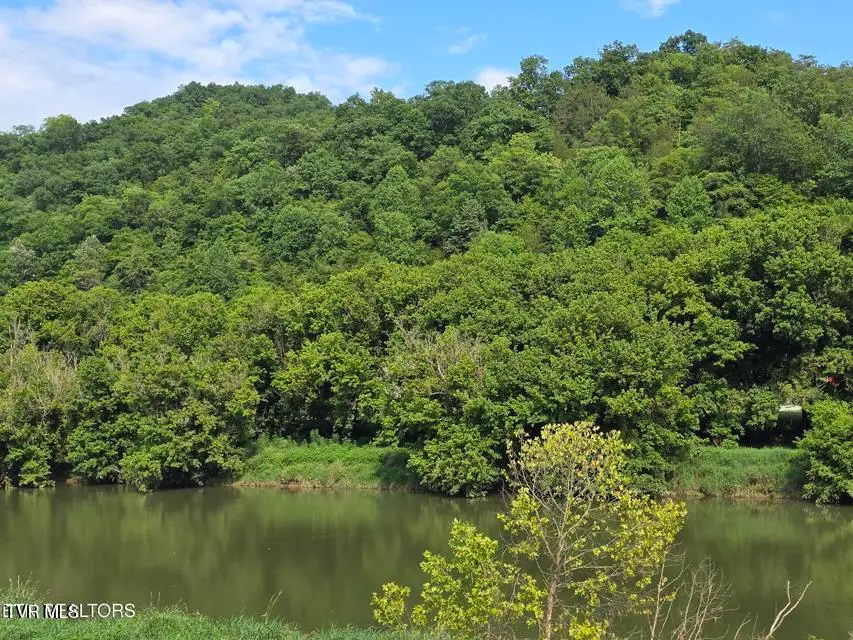 Tbd Caney Valley Road, Sneedville, TN 37869 - #2