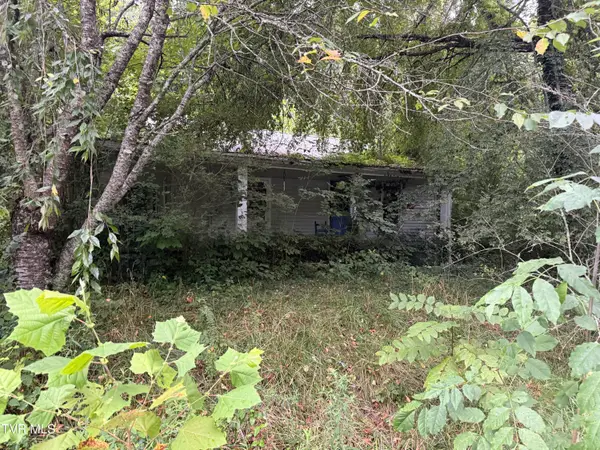 730 Taggart Avenue, Big Stone Gap, VA 24219