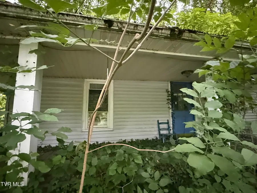 730 Taggart Avenue, Big Stone Gap, VA 24219 - #2