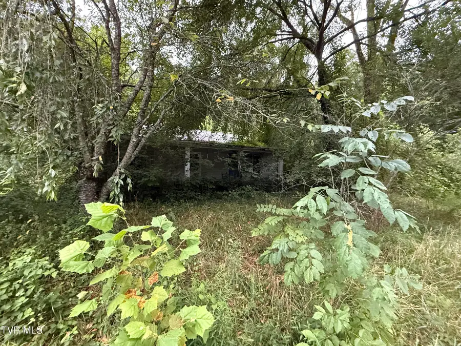 730 Taggart Avenue, Big Stone Gap, VA 24219 - #3