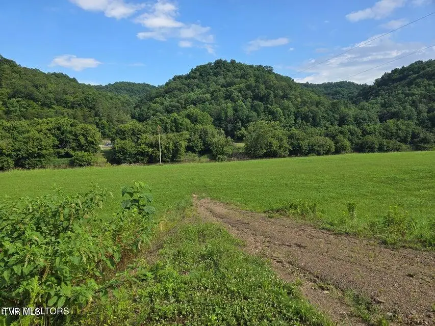 Lots 7&8 Caney Valley Road, Sneedville, TN 37869 - #2