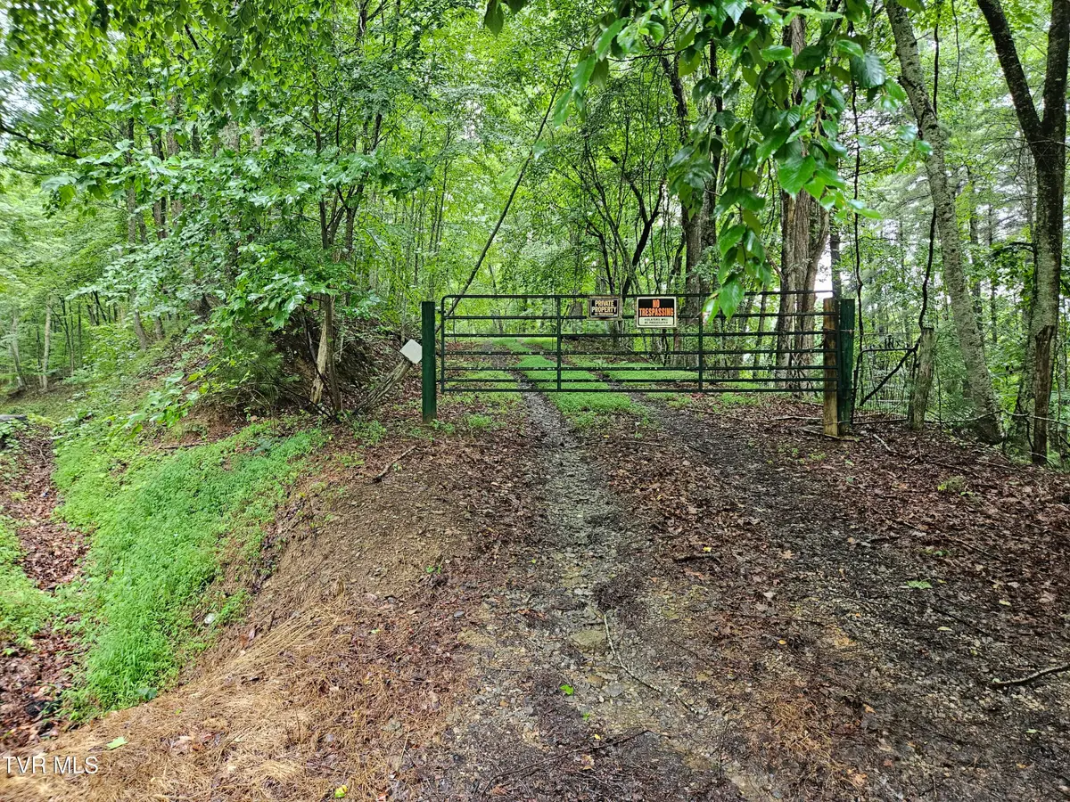 Tbd Jaybird Branch Road, Coeburn, VA 24230 - #1