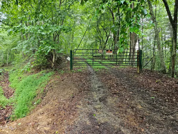 Tbd Jaybird Branch Road, Coeburn, VA 24230