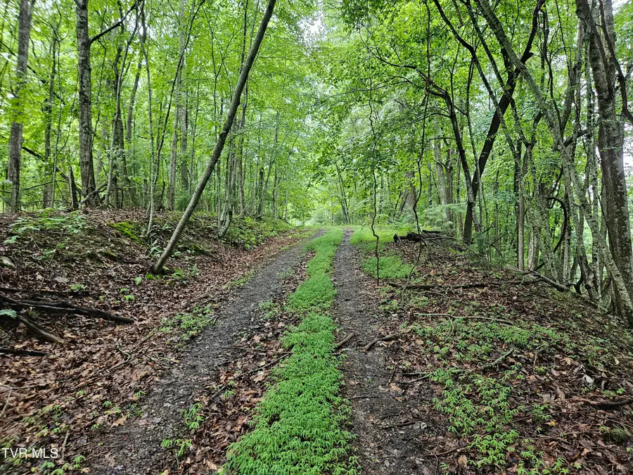 Tbd Jaybird Branch Road, Coeburn, VA 24230 - #2