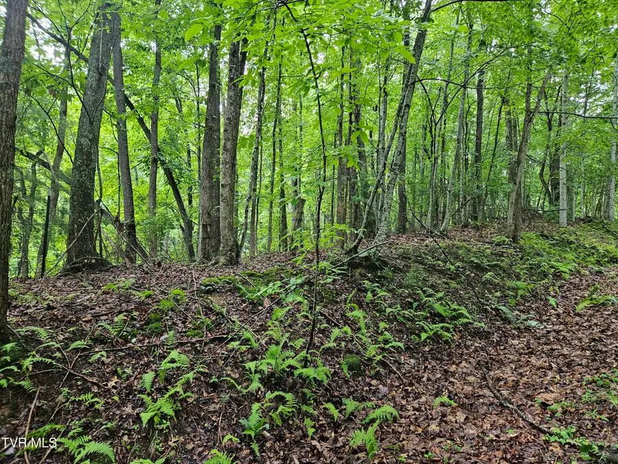 Tbd Jaybird Branch Road, Coeburn, VA 24230 - #3