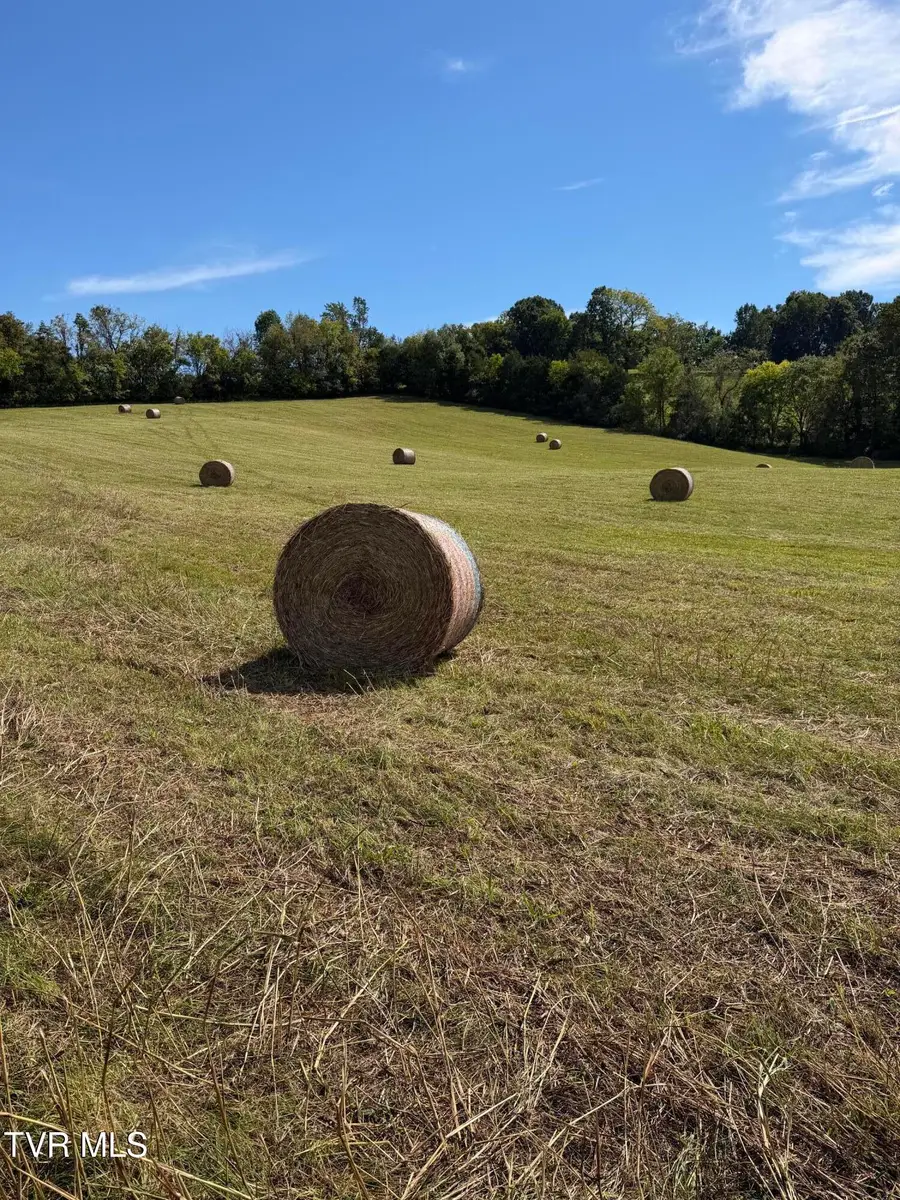 970 Foxford Road, Greeneville, TN 37743 - #2