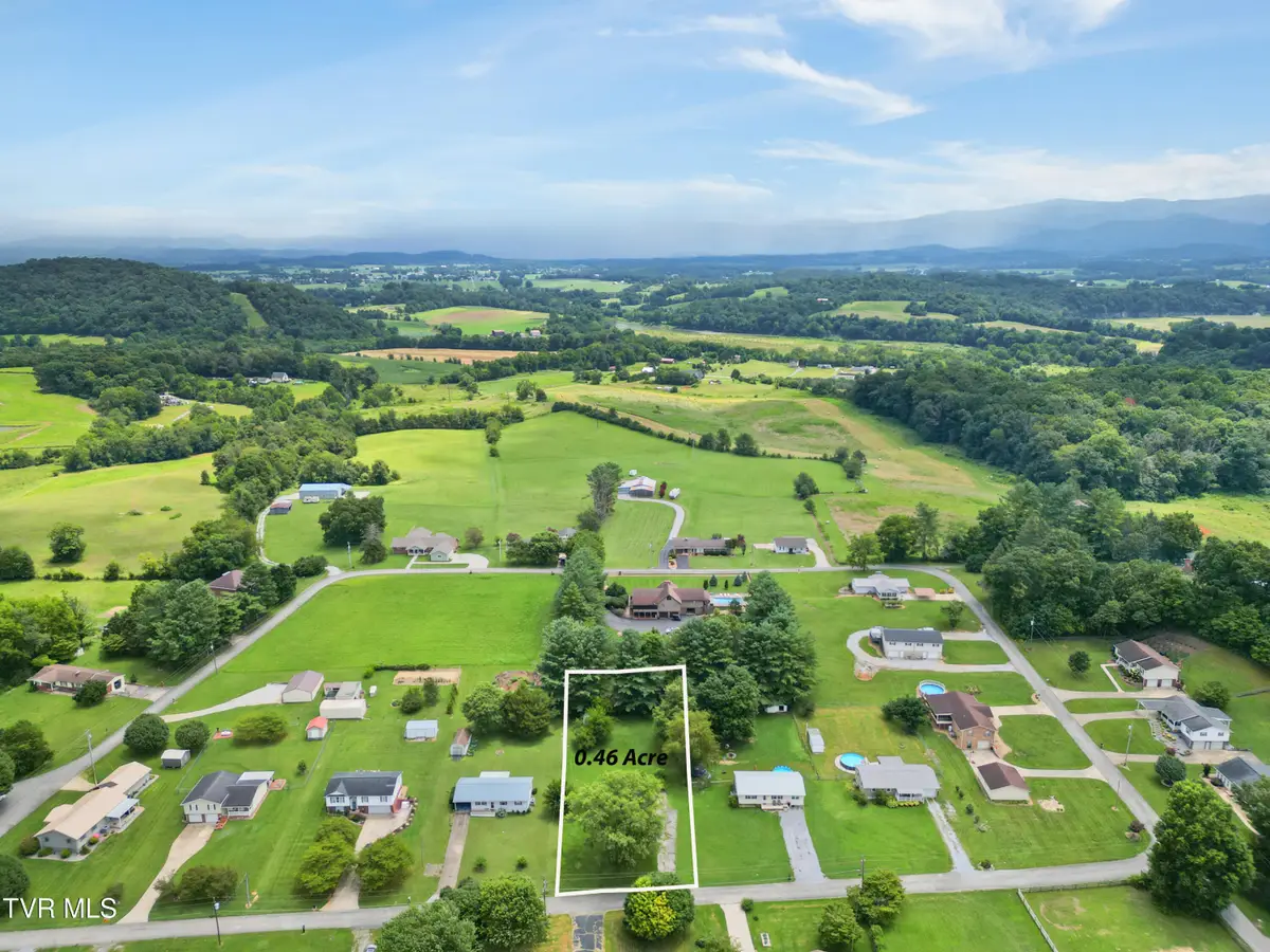 87 Springbrook Road, Afton, TN 37616 - #1