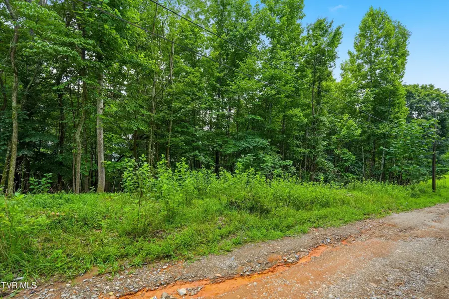 Tbd Carousel Pvt Drive, Kingsport, TN 37660 - #3