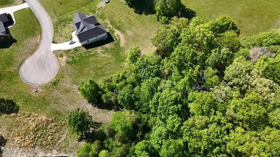 6312 Turners Pond Trail, Russellville, TN 37860 - #2