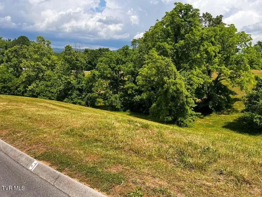 6377 Coves Edge Trail, Russellville, TN 37860 - #3