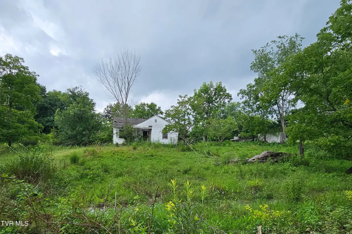 444 Bullock Hollow Road, Bristol, TN 37620 - #1