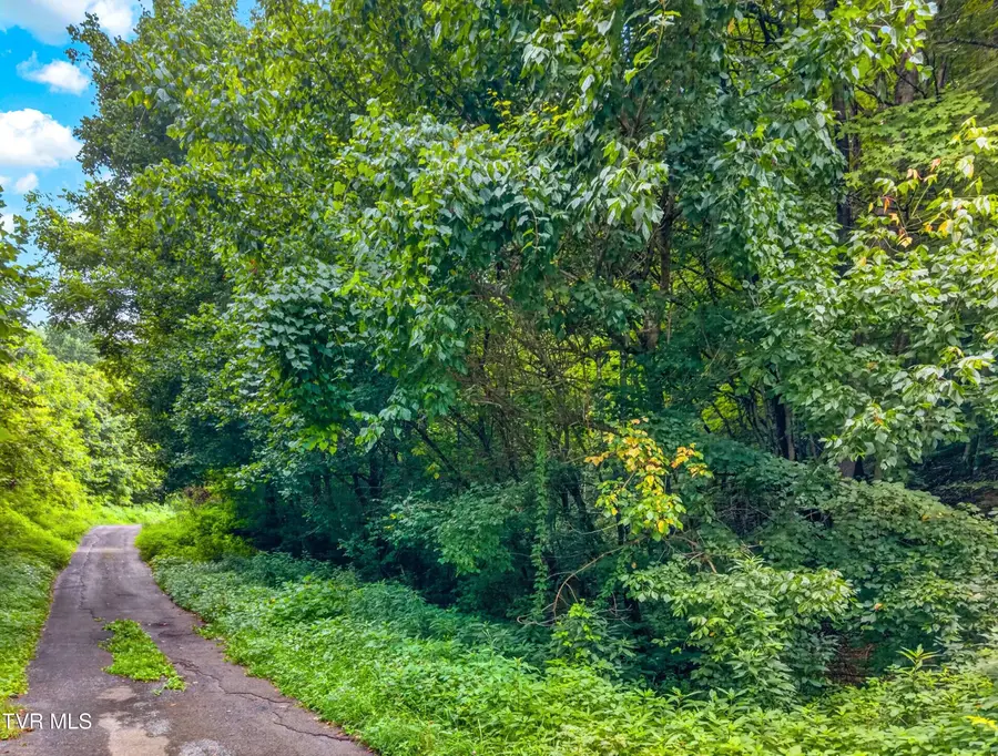 150 Mcmakin Road, Rogersville, TN 37857 - #3