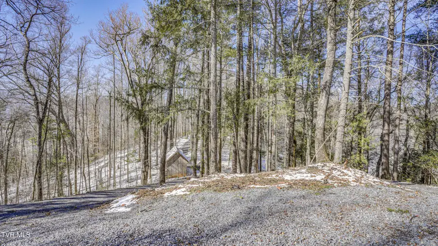 1089 Old Railroad Grade Road, Roan Mountain, TN 37687 - #2