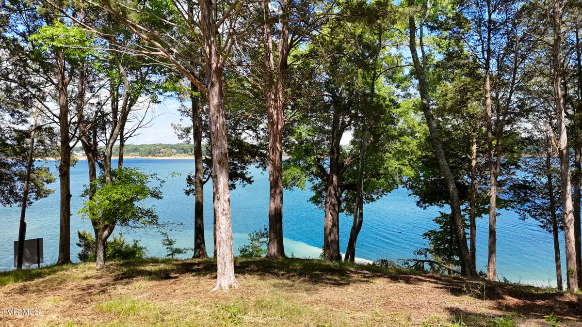 Lot 123 Rdg Pt Trail, Dandridge, TN 37725 - #1