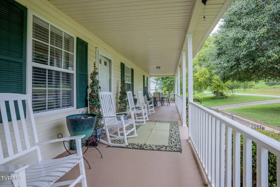 1520 Ripley Island Road, Afton, TN 37616 - #3