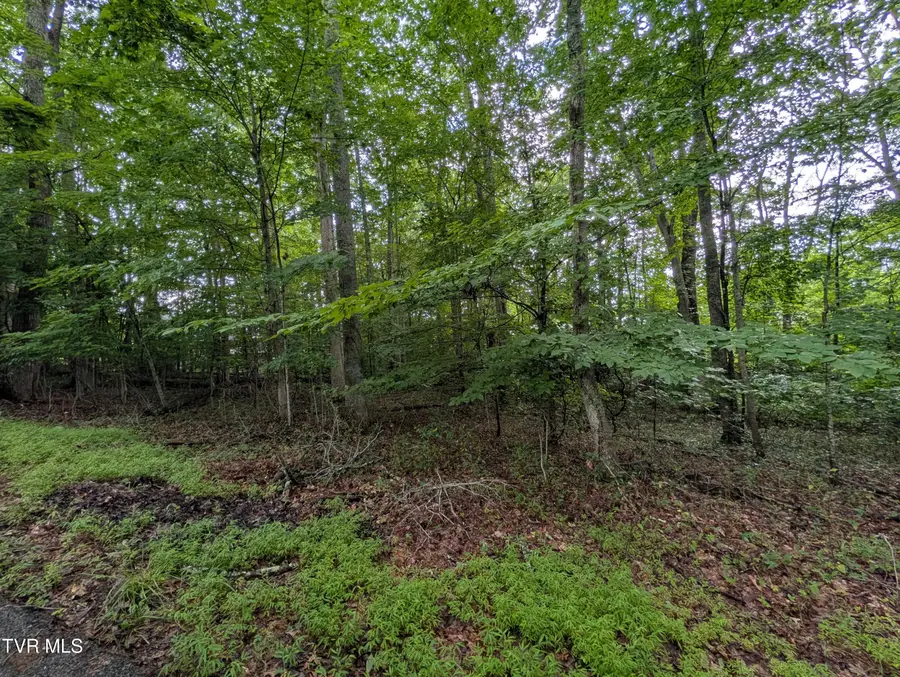 Tbd Southeast Circle Drive, Wise, VA 24293 - #2