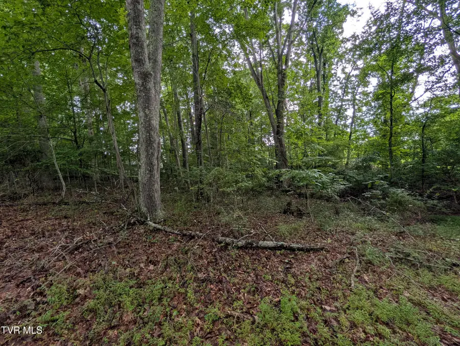 Tbd Southeast Circle Drive, Wise, VA 24293 - #3