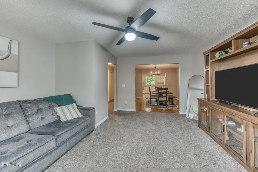 2509 East Lakeview Drive #Apt 8, Johnson City, TN 37601 - #3