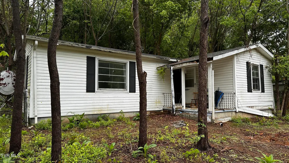 253 Old Weaver Pike, Bluff City, TN 37618 - #1