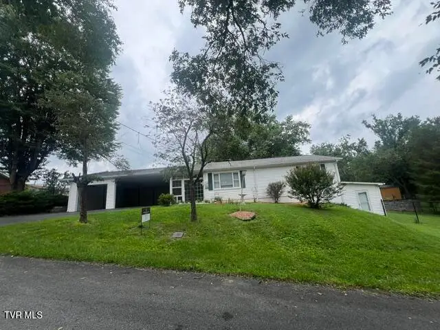 235 Akard Street, Bristol, TN 37620 - #1