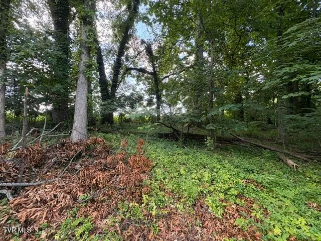 188 Booher Road, Jonesborough, TN 37659 - #3